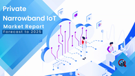 Private narrowband iot market introduction