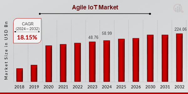 Agile IoT Market Overview1