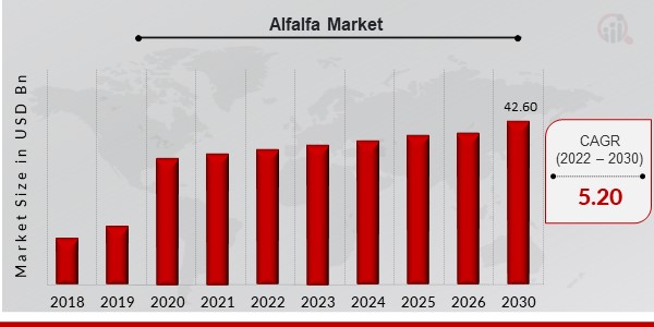 Alfalfa Market Overview