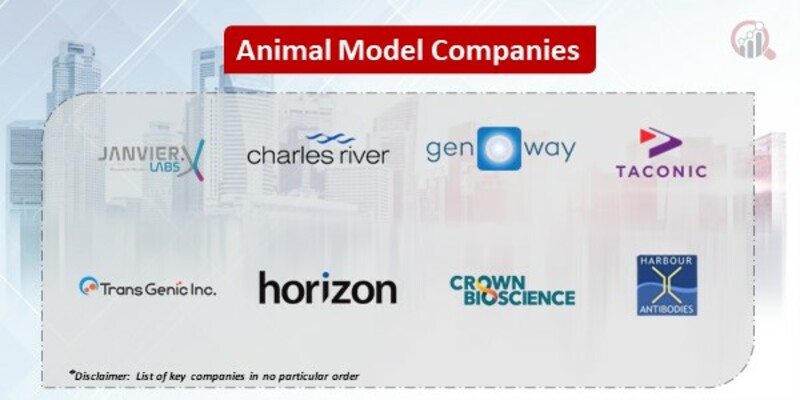 Animal Model Key Companies