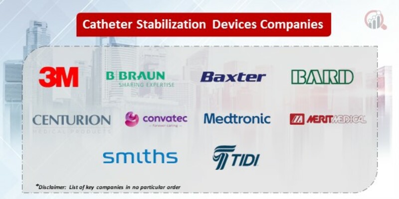 Catheter Stabilization Key Companies