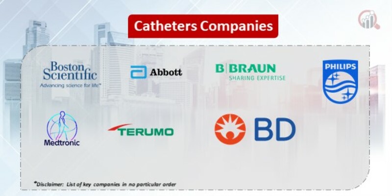 Catheters Key Companies