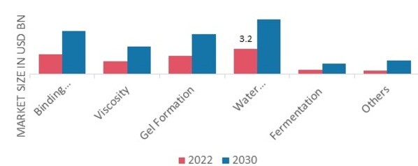 Dietary Fiber Market, by Function, 2022 & 2030