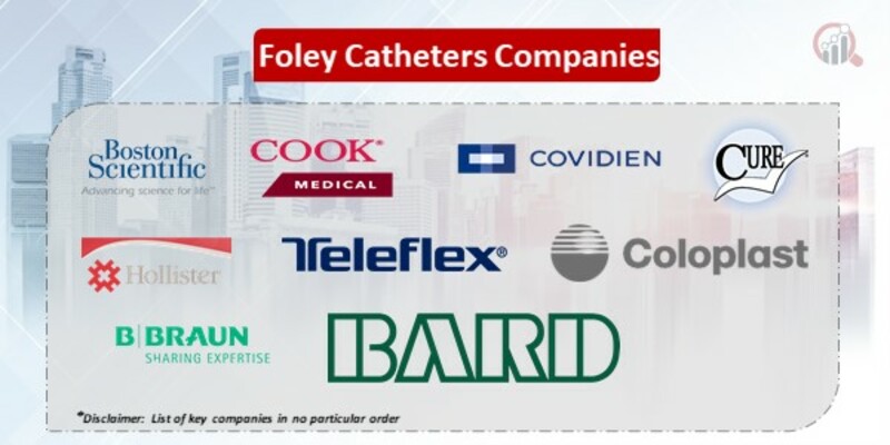 Foley Catheters Key Companies