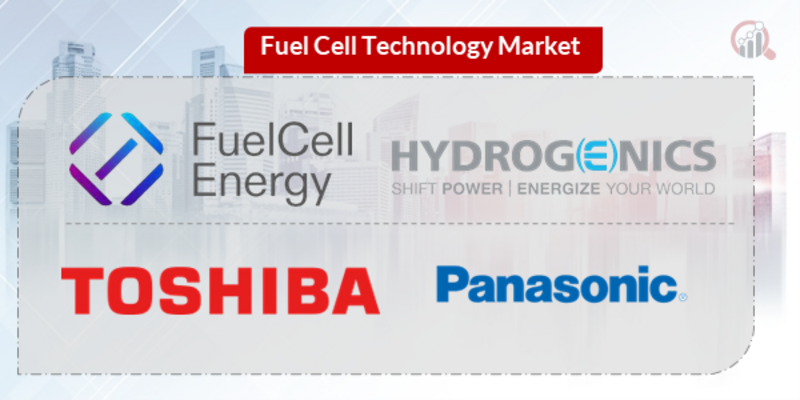 Fuel Cell Technology Key Company