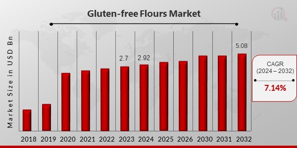 Gluten-free Flours Market Overview2
