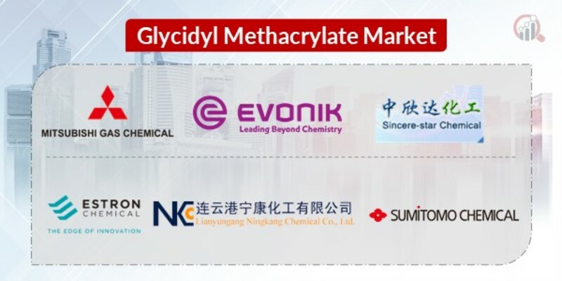 Glycidyl Methacrylate Key Companies