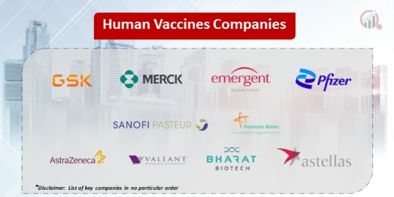 Middle East and Africa Human Vaccines Key Companies