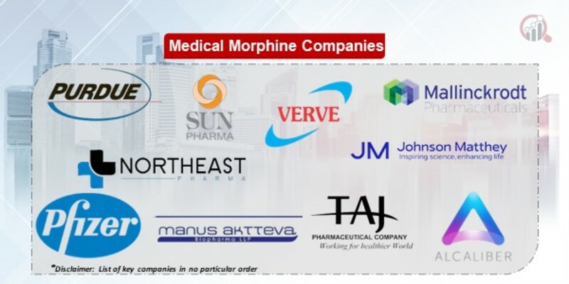 Medical Morphine Market 