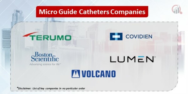 Micro Guide Catheters Key Companies