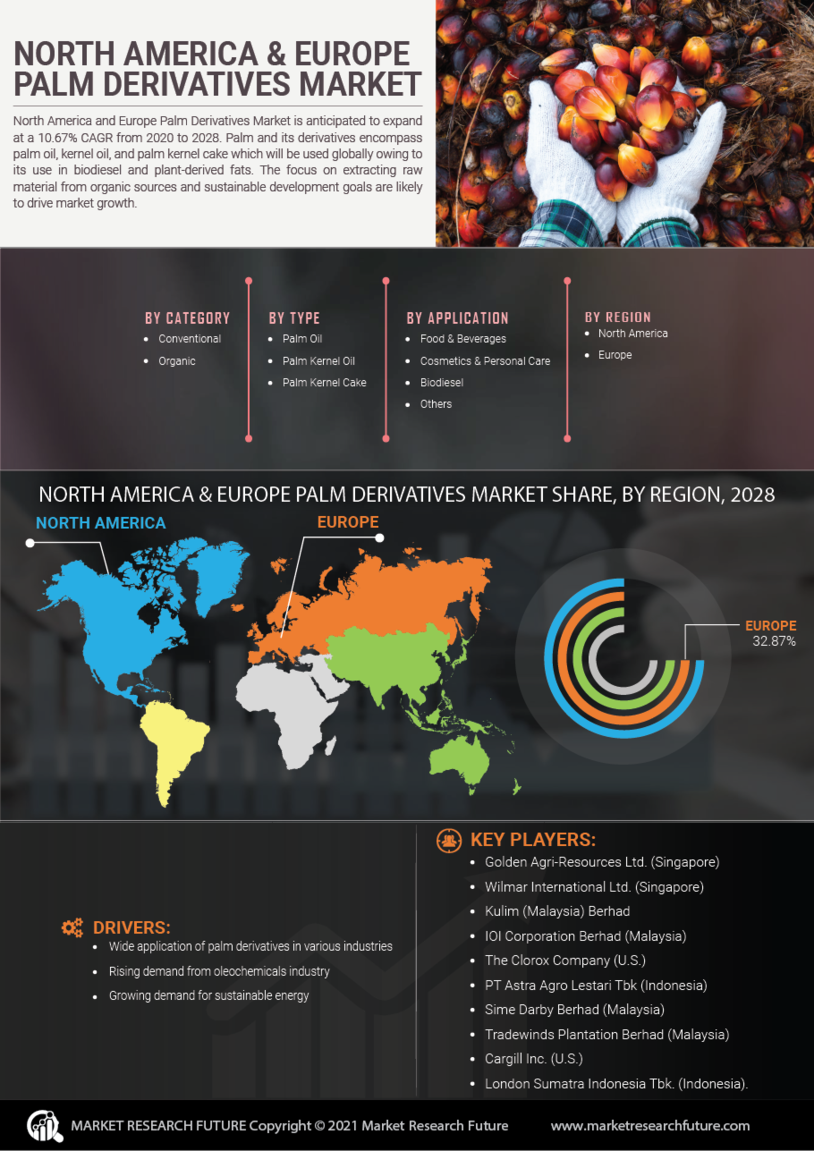 North America Europe Palm Derivatives Market
