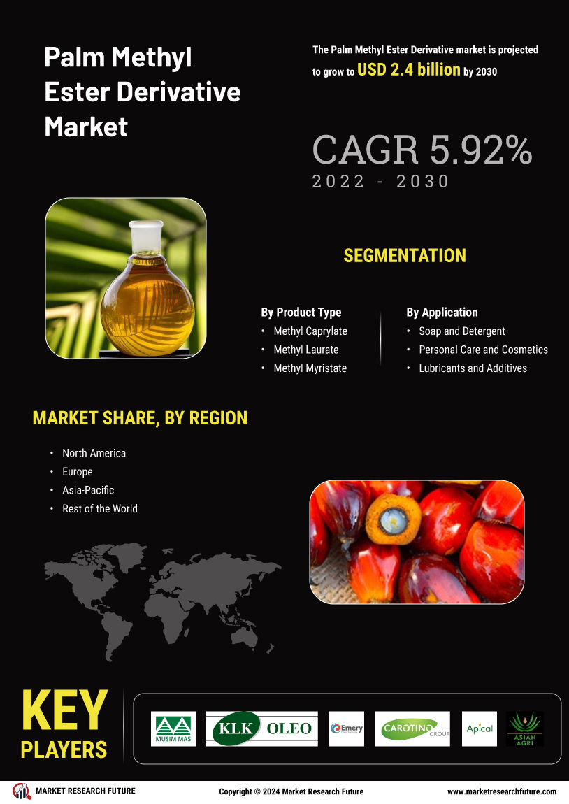 Palm Methyl Ester Derivative Market
