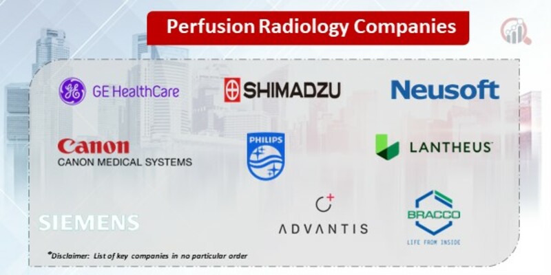 Perfusion Radiology Key Companies