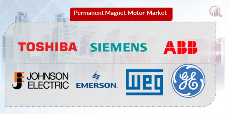 Permanent Magnet Motor Key Company