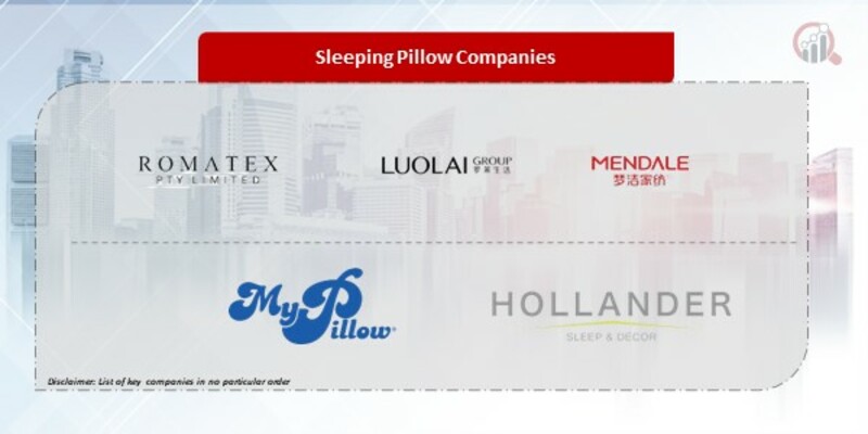 Sleeping Pillow Companies