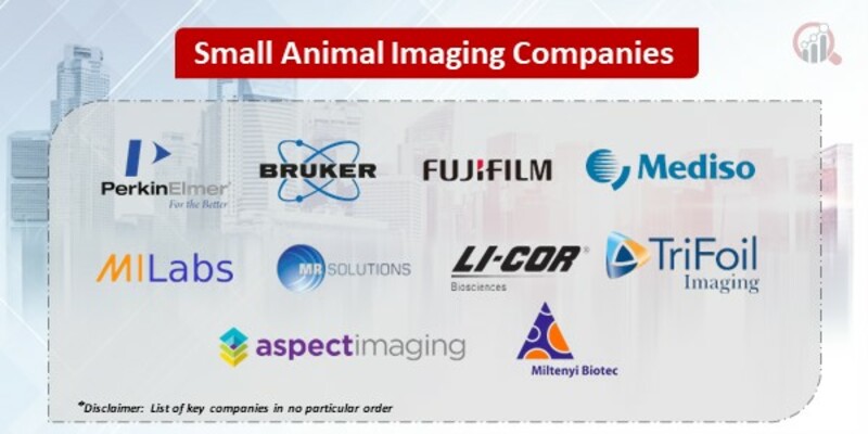 Small Animal Imaging Market 