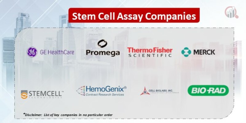 Stem Cell Assay Market