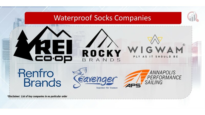 Waterproof Socks Key Companies