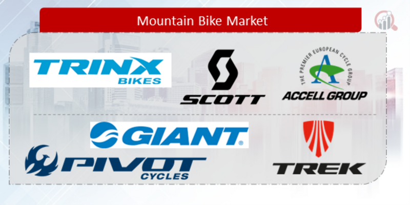 mountain bike market