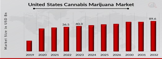 United States Cannabis Marijuana Market Overview