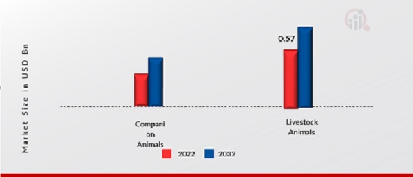 ndia Veterinary Medicine Manufacturing Market, by Animal Type, 2022 & 2032