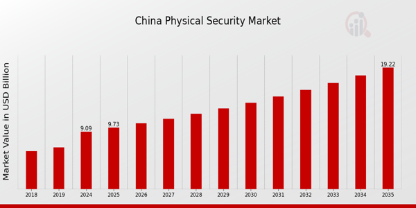 China Physical Security Market size