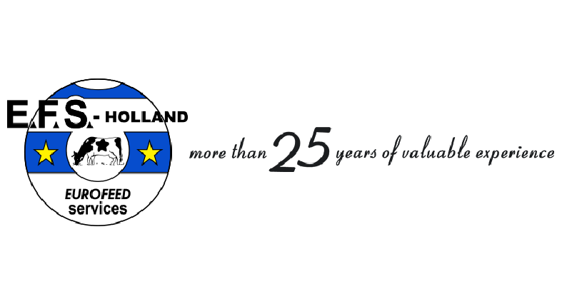 market research report website Efs holland logo