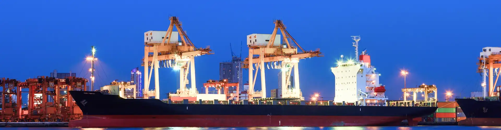 MedIntelliX Market Research Report