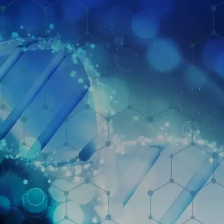 Germanium-68 Gallium-68 Generator Market Size was estimated at USD 335.29 Million in 2024. The Global Germanium-68 Gallium-68 Generator Market industry is projected to grow from USD 369.99 Million in 2025 to 1,005.71 USD Million by 2035