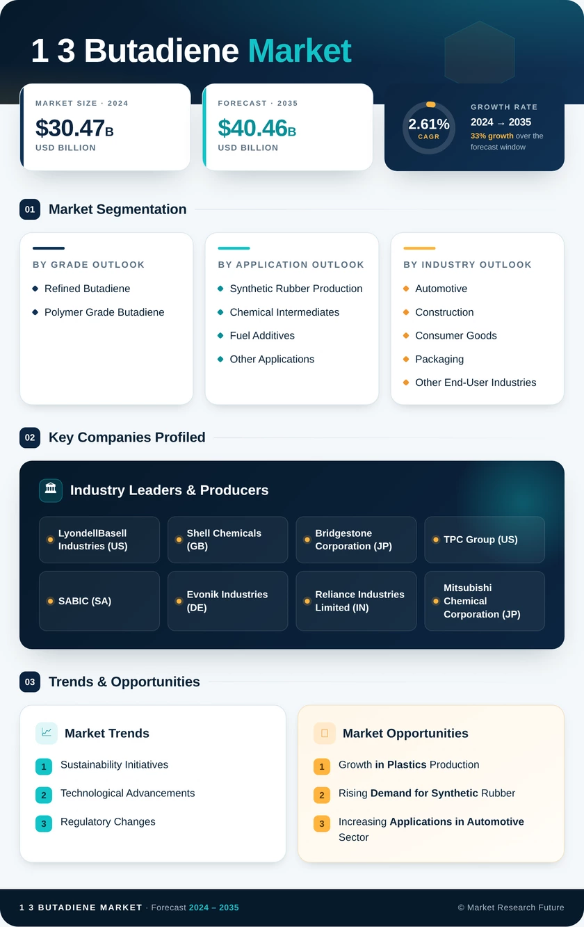 1 3 Butadiene Market Research Report  - Global Forecast by 2035 Infographic