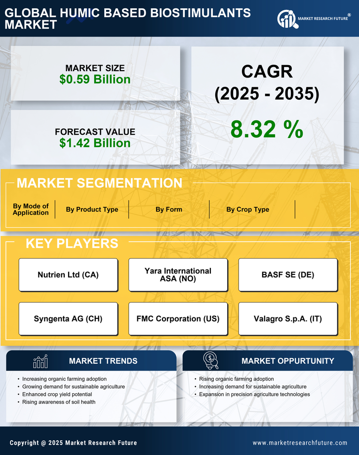 Humic-based Biostimulants Market Research Report—Global Forecast till 2035 Infographic