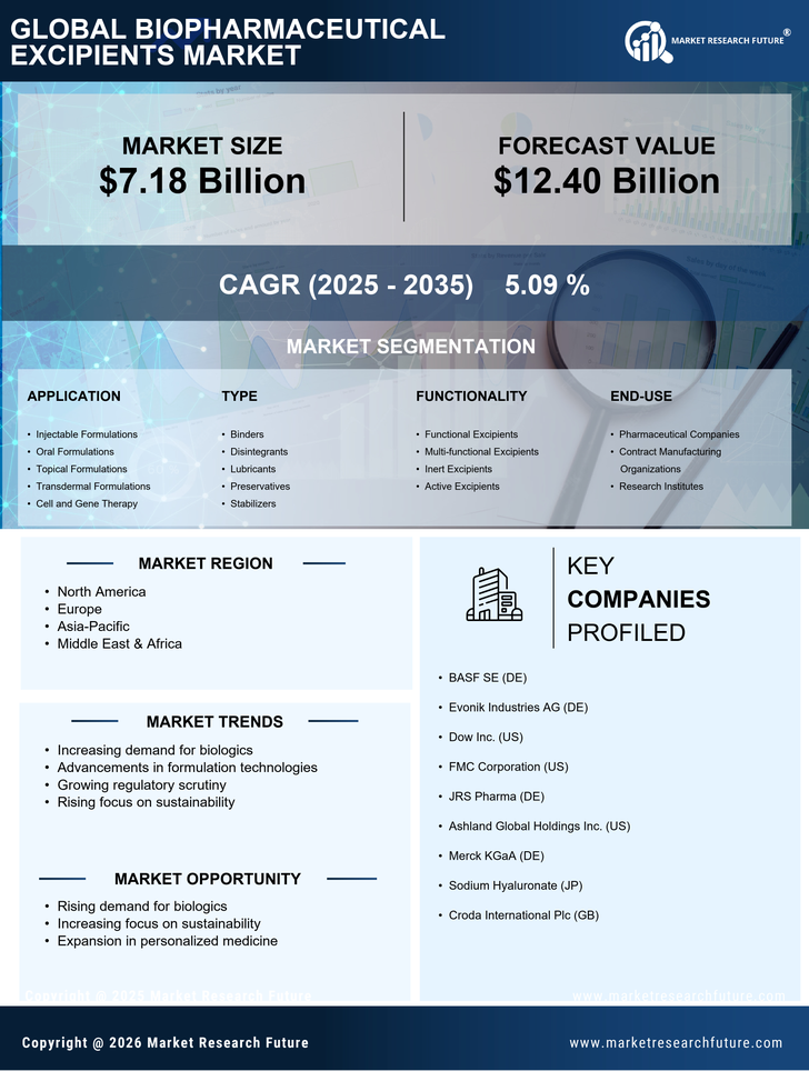 Biopharmaceutical Excipients Market Research Report-Forecast to 2035 Infographic