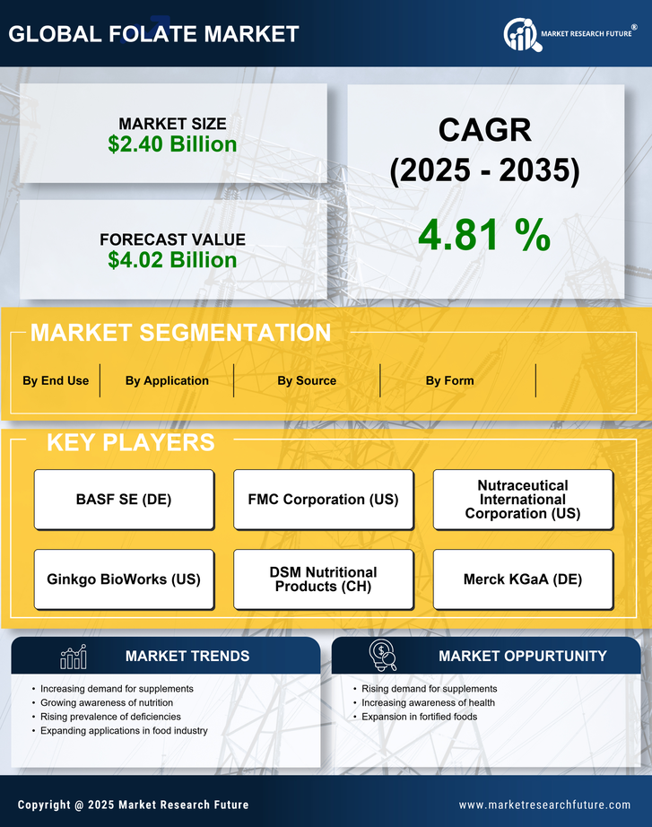 Folate Market Research Report - Global Forecast till 2035 Infographic