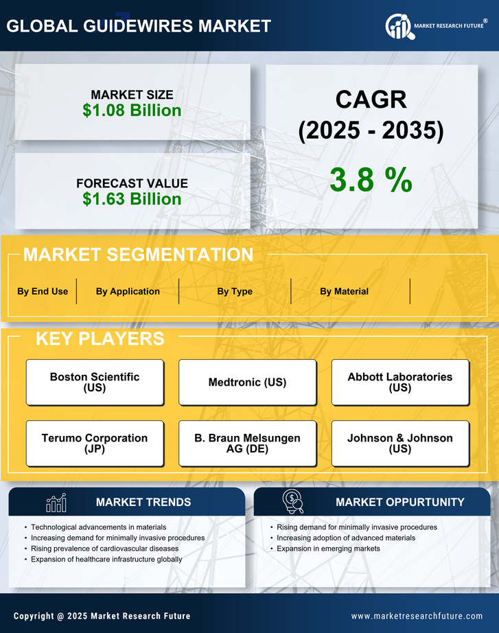 Guidewires Market Research Report—Global Forecast till 2035 Infographic