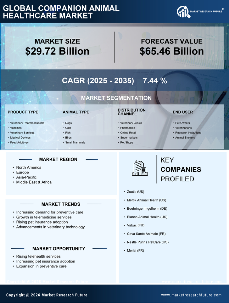 Companion Animal Healthcare Market Research Report- Forecast till 2035 Infographic