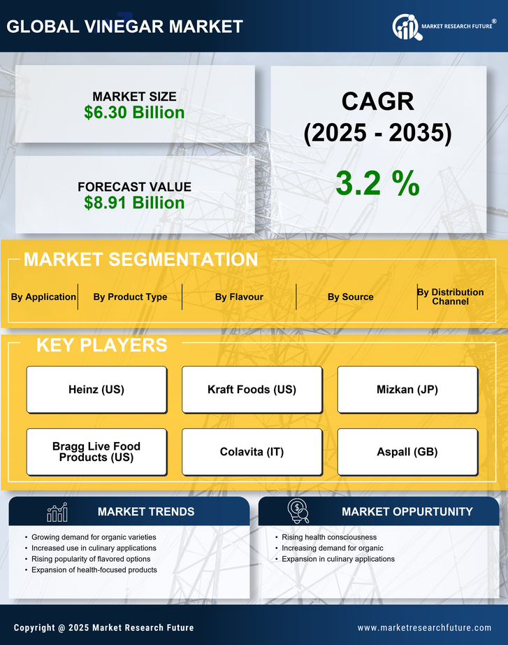 Vinegar Market Research Report—Global Forecast till 2035 Infographic