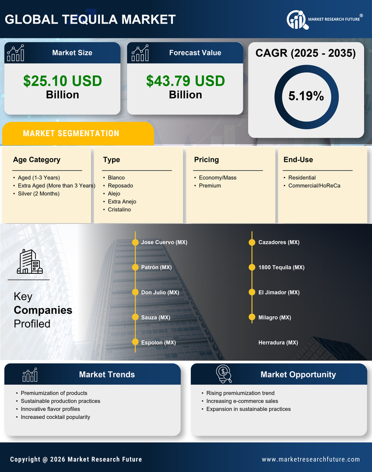 Tequila Market Research Report – Forecast Till 2035 Infographic