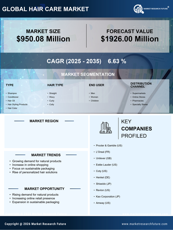 South Africa Hair Care Market Research Report— Forecast till 2035 Infographic