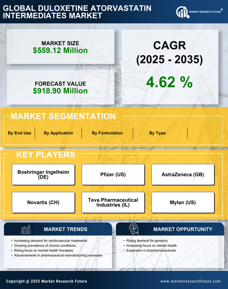 US Duloxetine Atorvastatin Intermediates Market Infographic