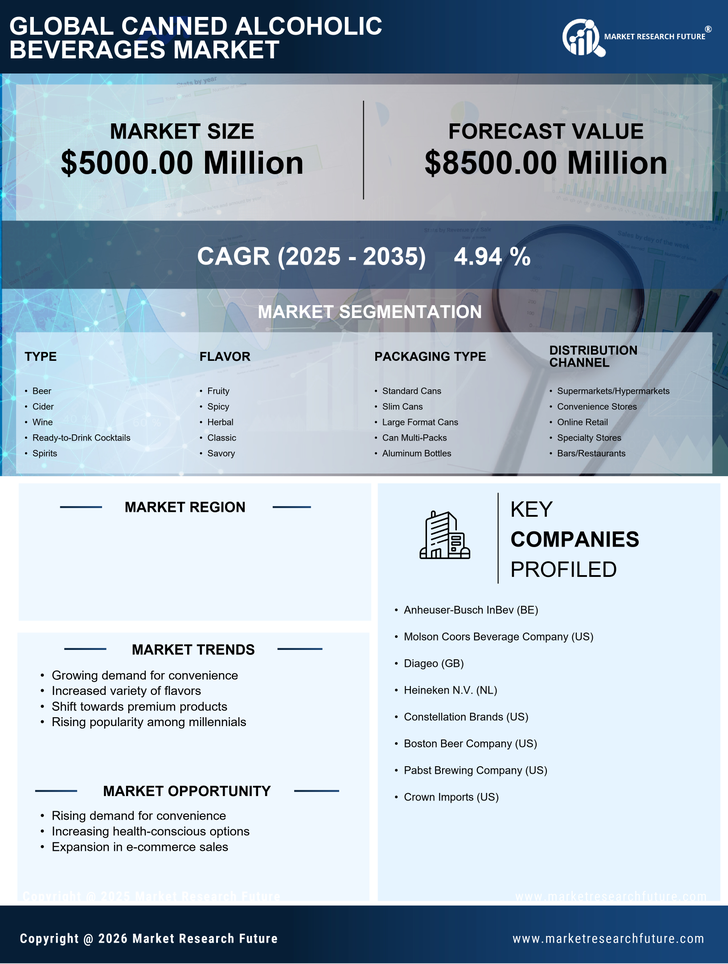 US Canned Alcoholic Beverages Market Research Report — Forecast till 2035 Infographic