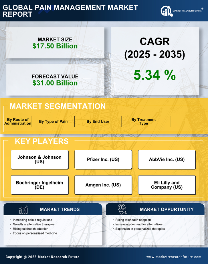 US Pain Management Market Research Report- Forecast to 2035 Infographic
