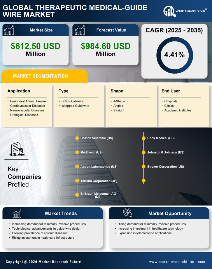 US Therapeutic Medical Guide Wire Market Infographic