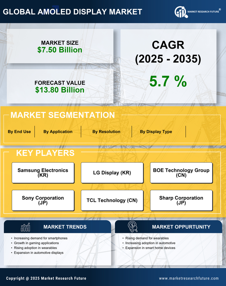 US AMOLED Display Market Infographic