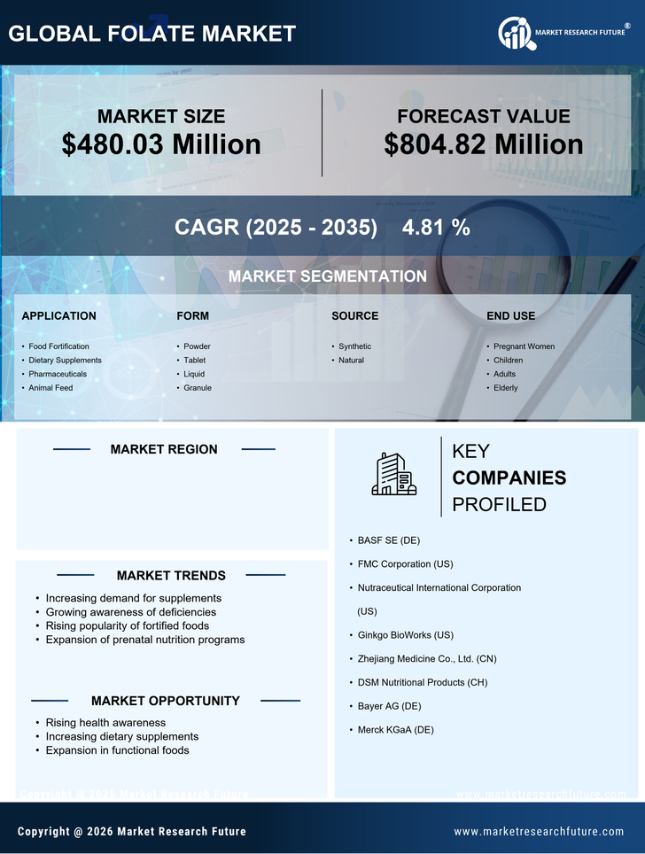 US Folate Market Research Report — Forecast till 2035 Infographic