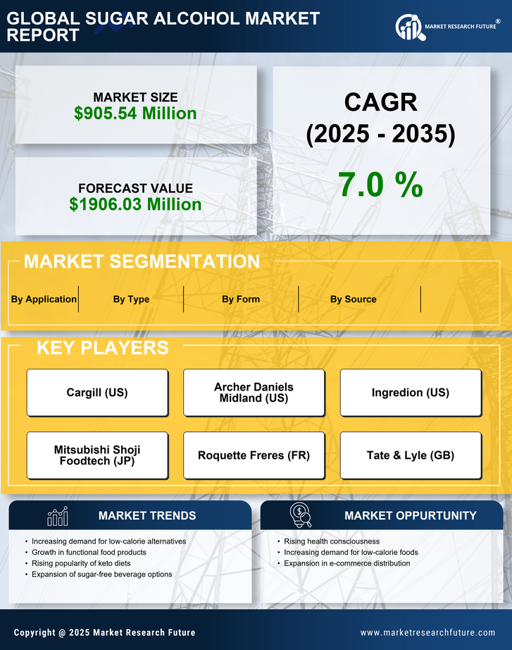 US Sugar Alcohol Market Research Report — Forecast till 2035 Infographic
