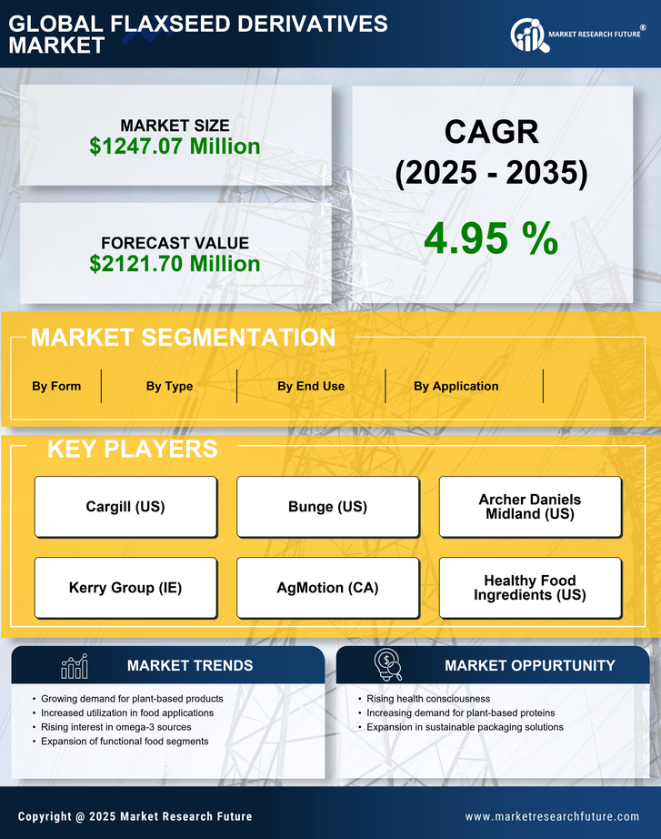 US Flaxseed Derivatives Market Research Report — Forecast till 2035 Infographic