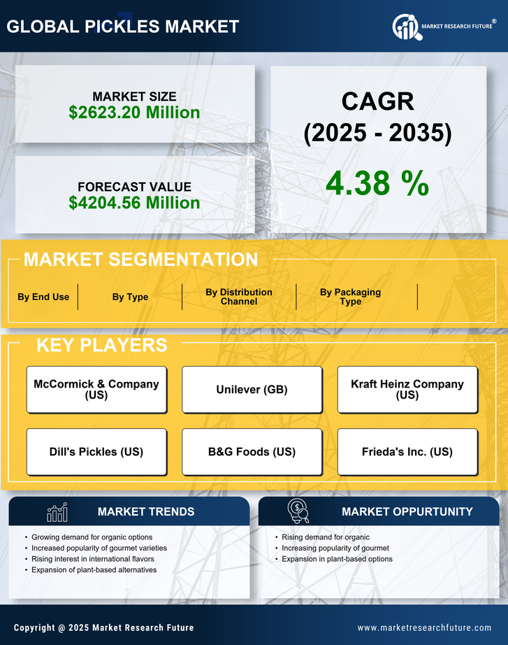 US Pickles Market Infographic