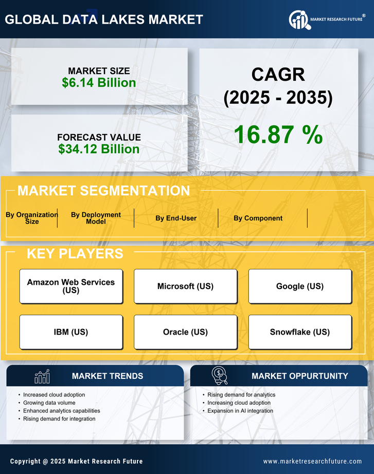 Data Lakes Market Research Report - Global Forecast to 2035 Infographic