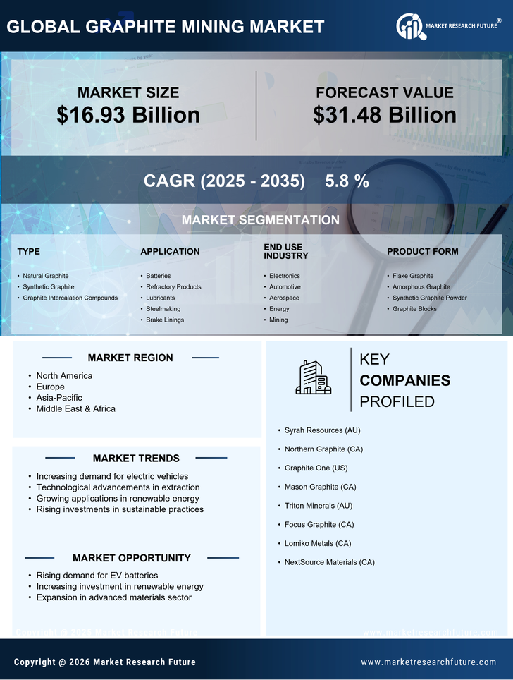 Graphite Mining Market Research Report — Global Forecast till 2035 Infographic