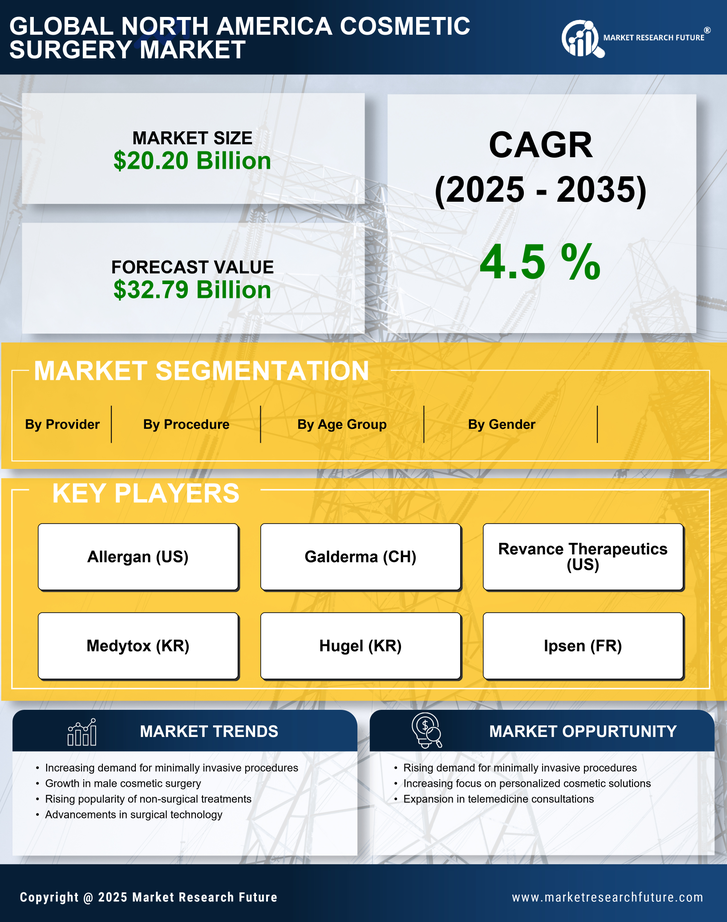 North America Cosmetic Surgery Market Research Report - Forecast Till 2035 Infographic